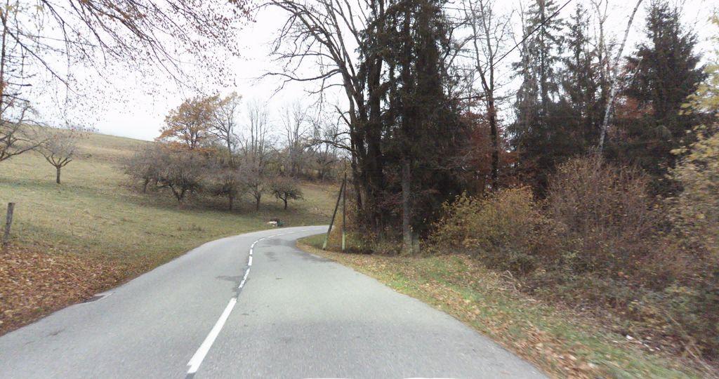 View at km 11.5