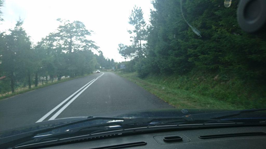 View at km 3.1