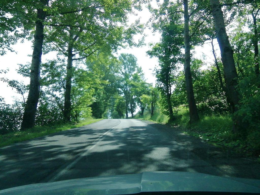 View at km 11.7
