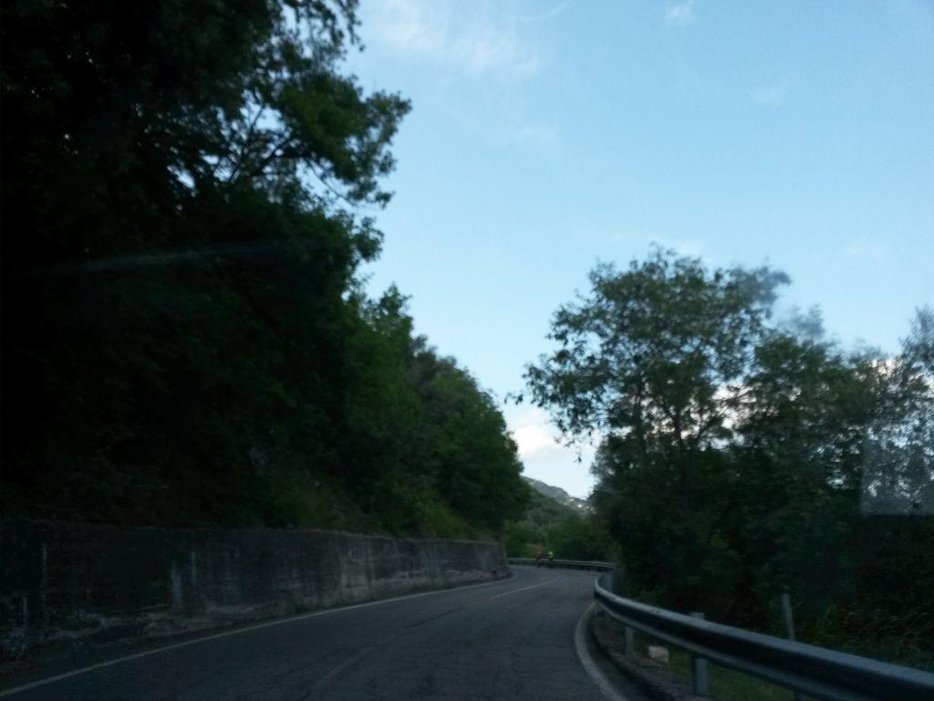 View at km 0.3