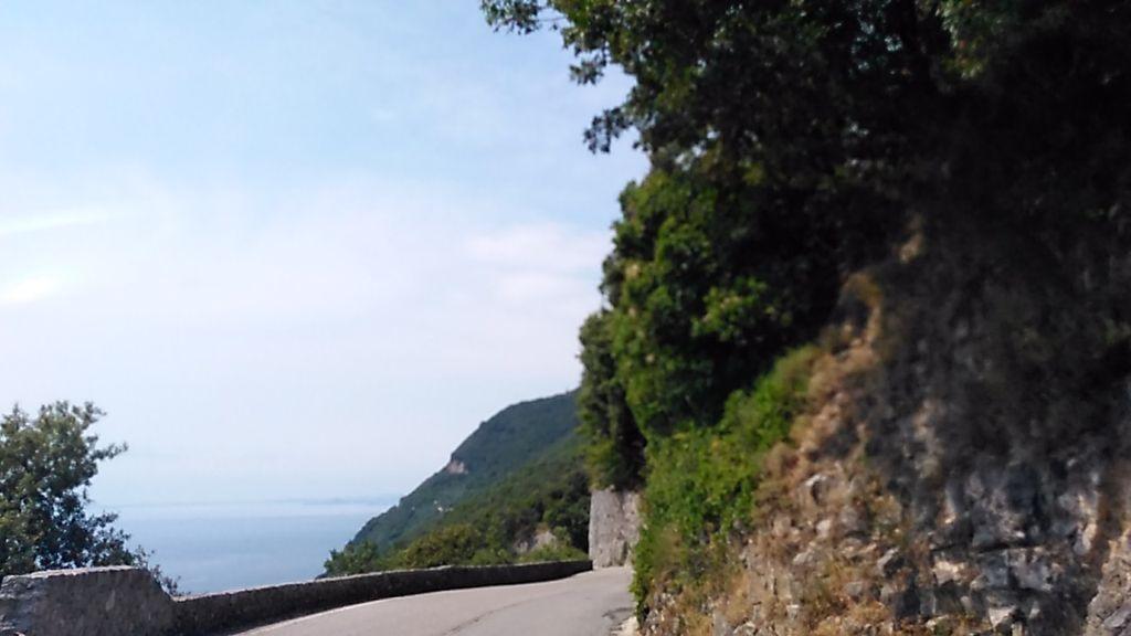 View at km 1.4