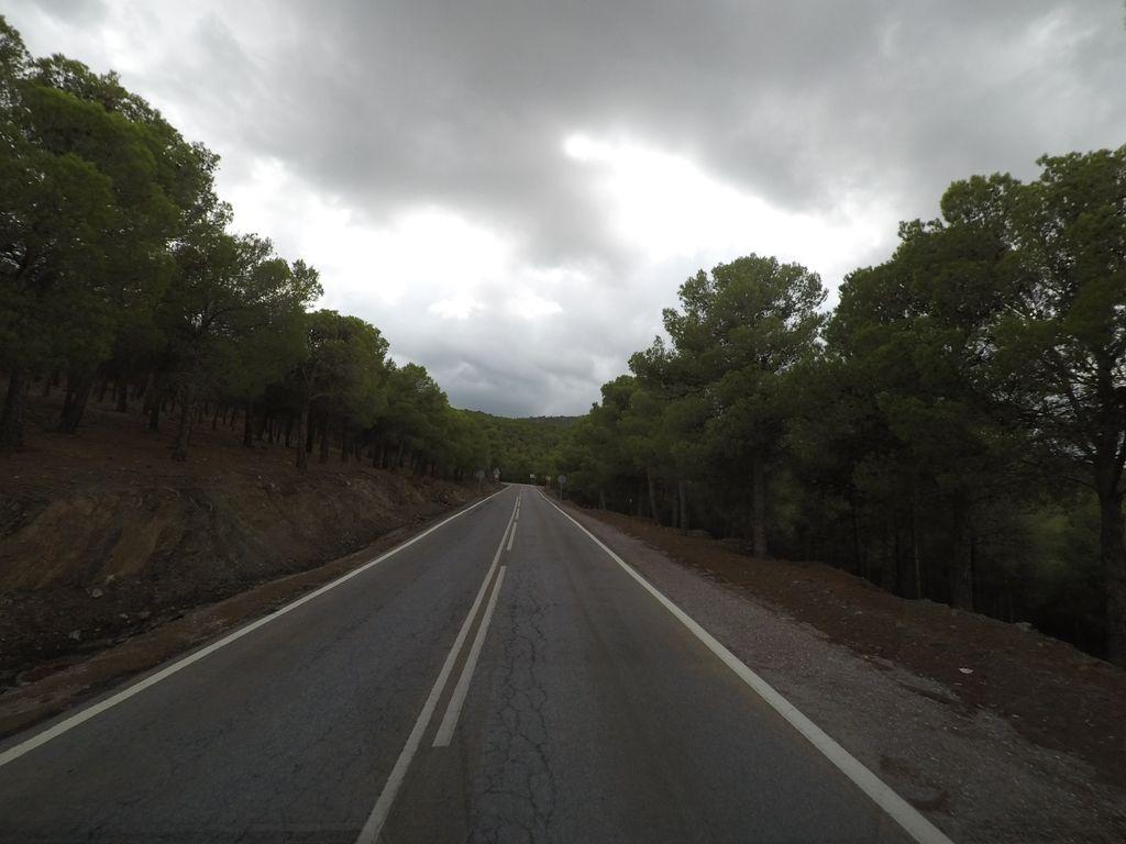 View at km 4.4