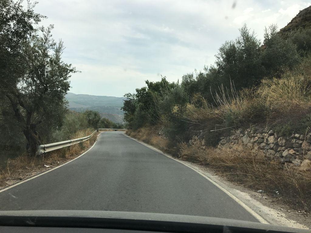 View at km 1.3