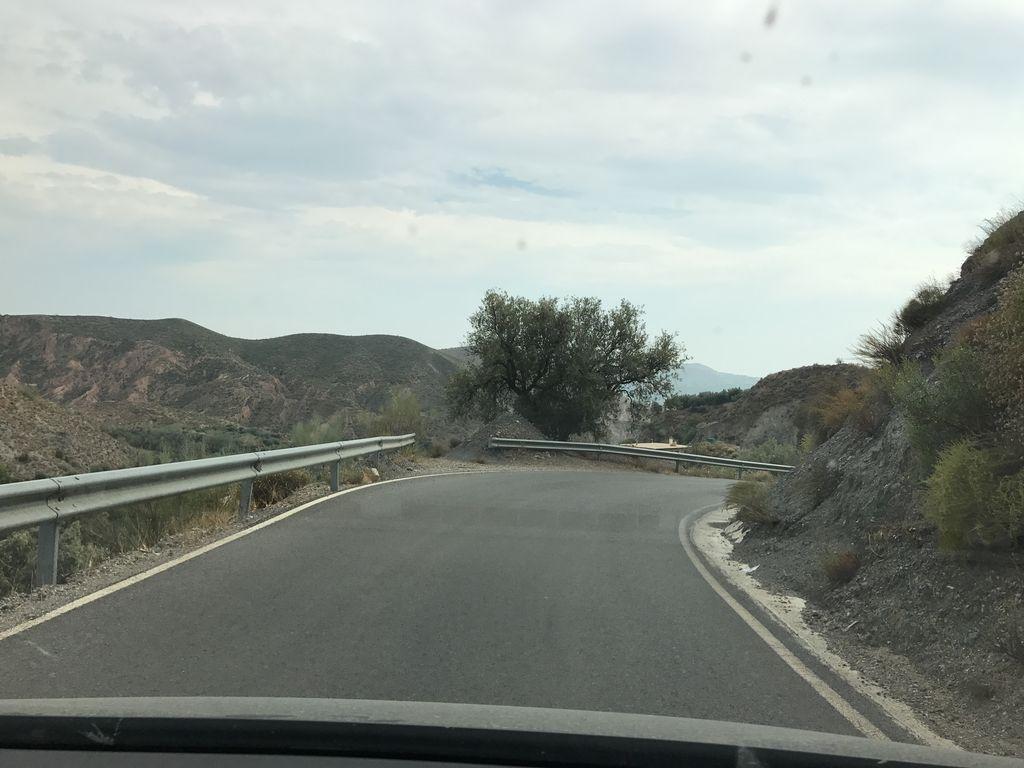 View at km 4.3