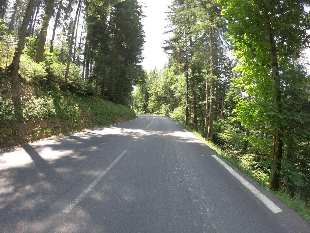 View at km 14.5