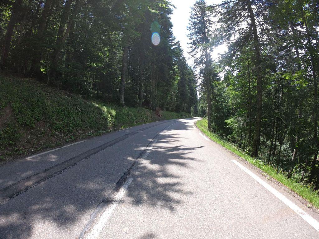 View at km 15.5