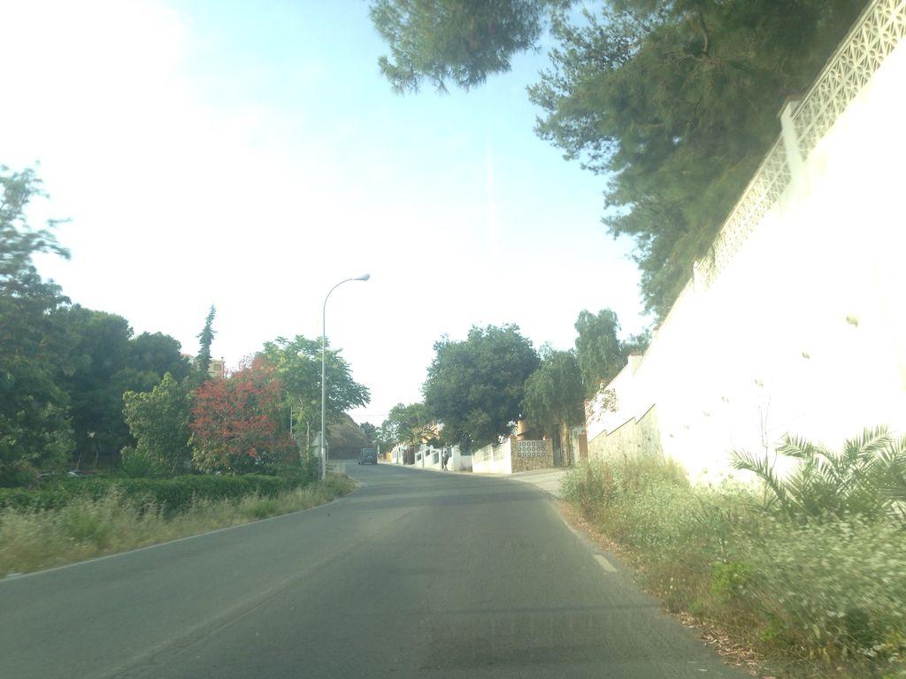 View at km 0.8