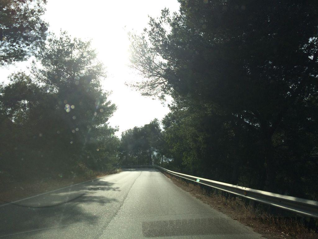View at km 4.8