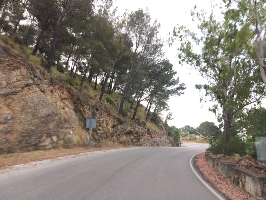 View at km 9.9
