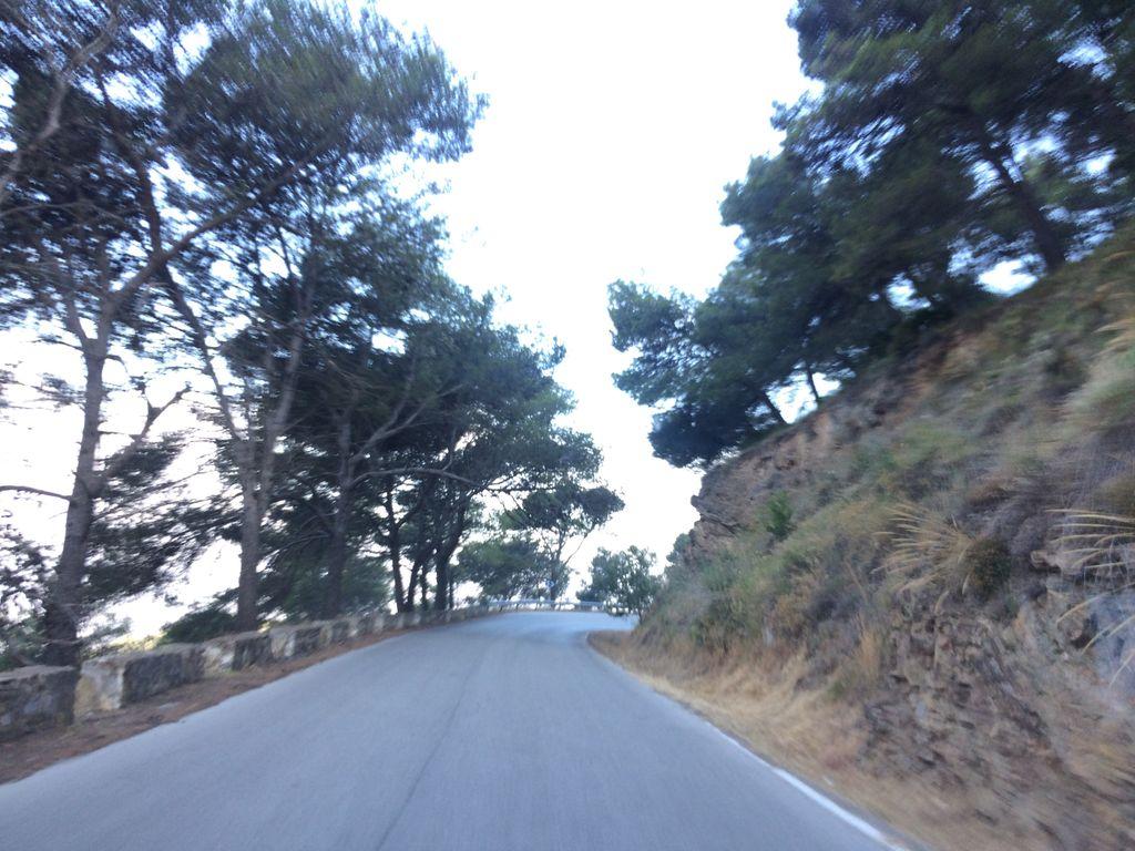 View at km 11.5