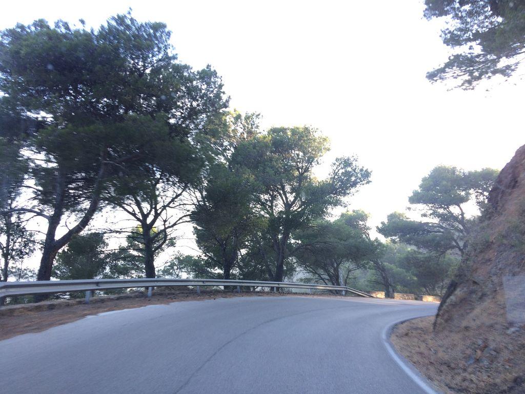 View at km 12