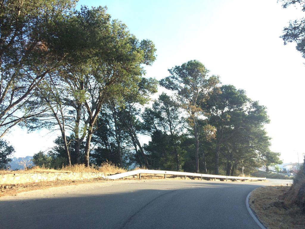 View at km 12.5