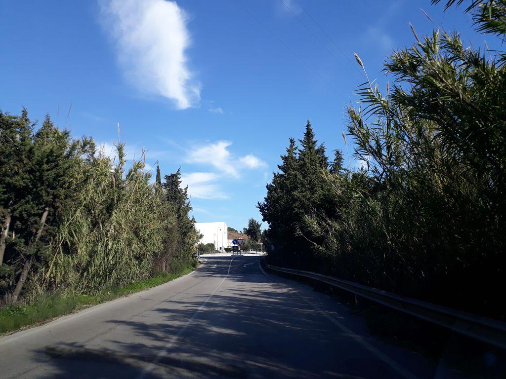View at km 0.3
