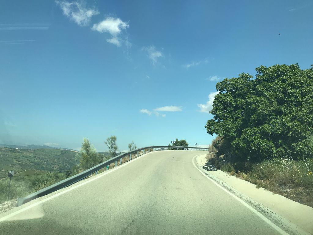 View at km 3.9
