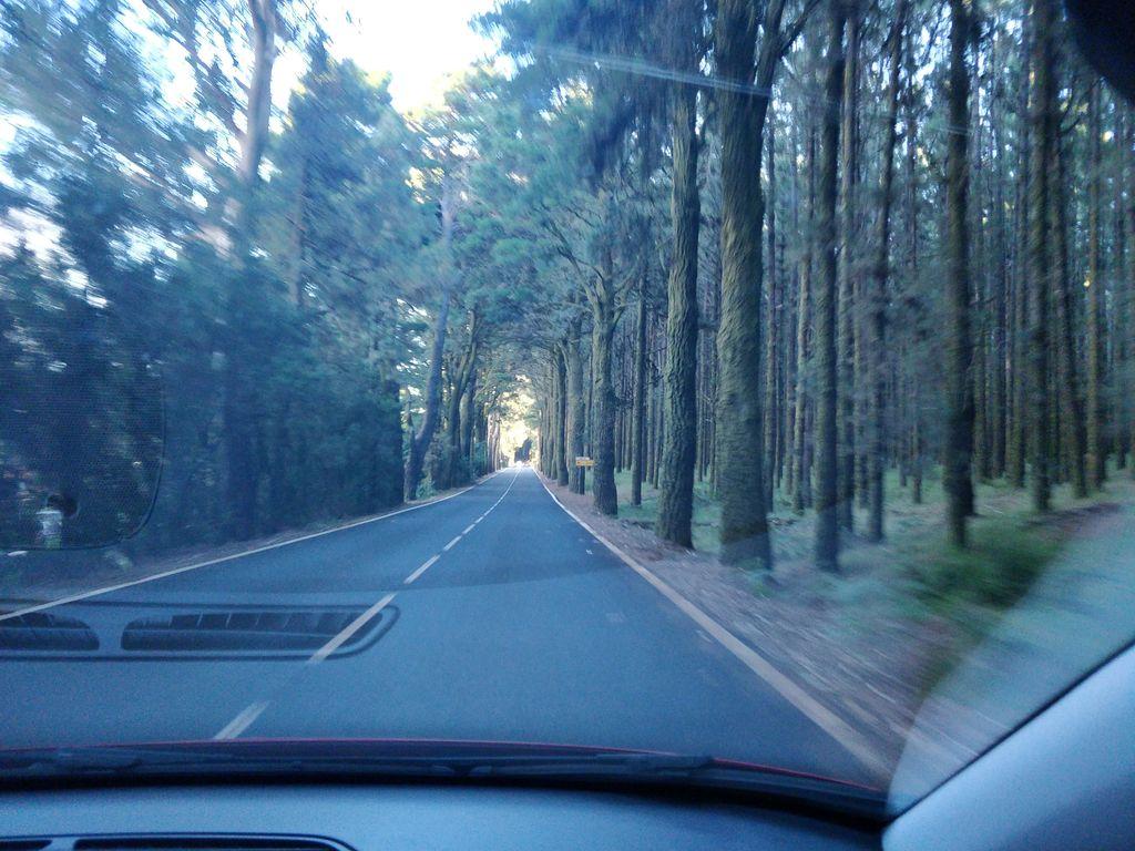 View at km 17
