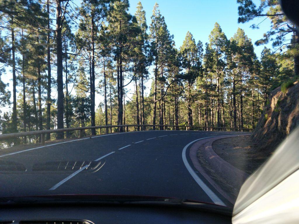 View at km 19.5