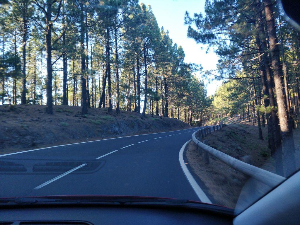 View at km 20