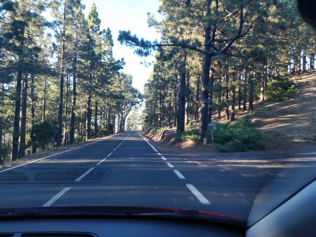 View at km 22