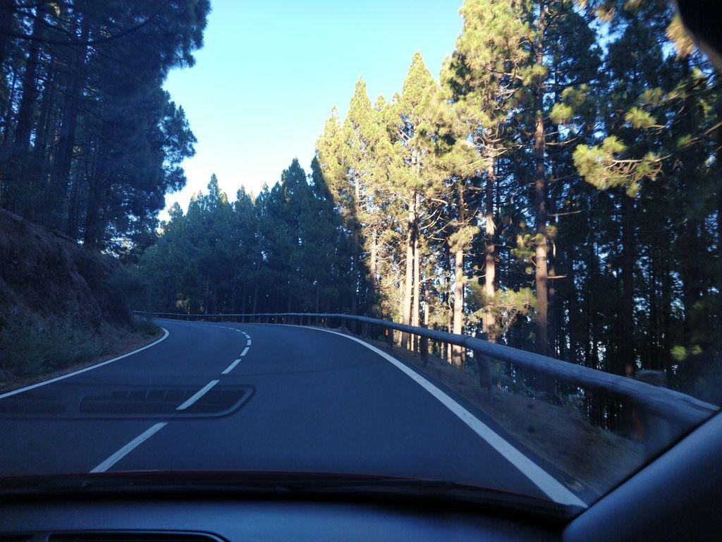 View at km 23