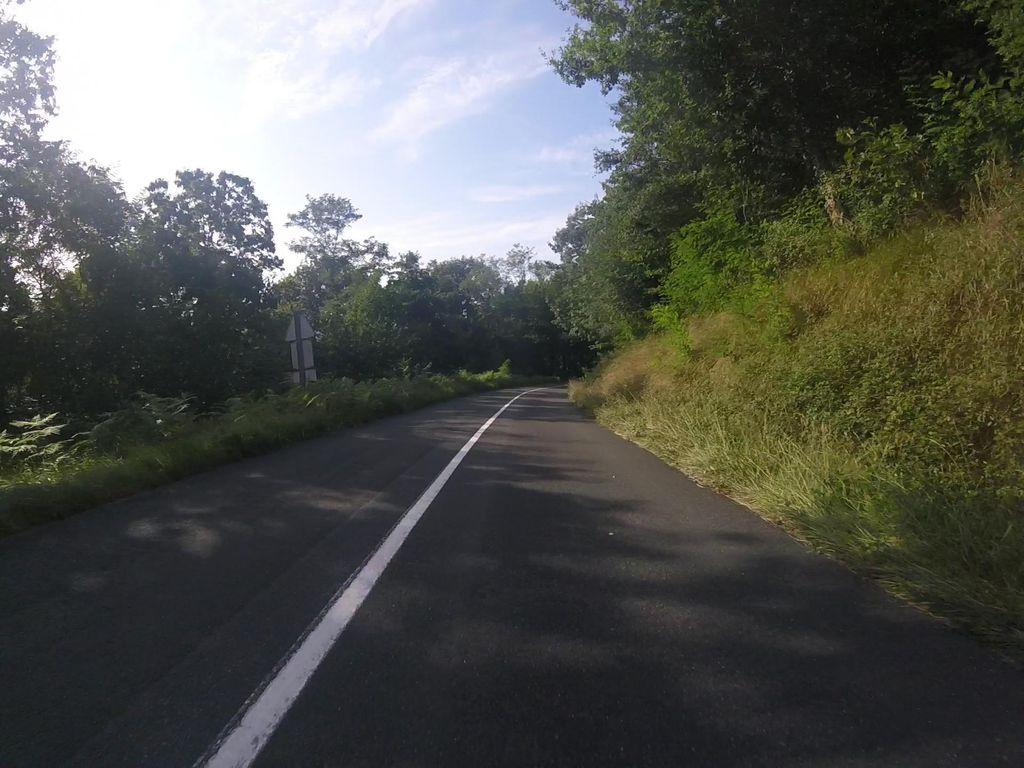 View at km 2.6
