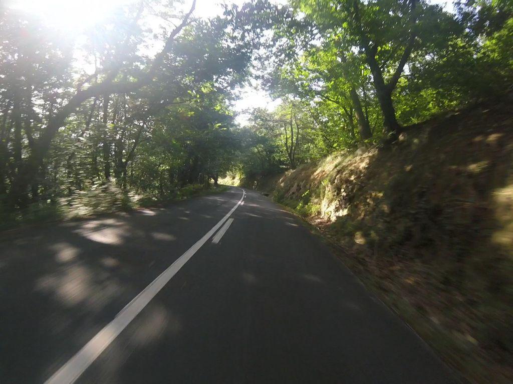 View at km 3.7