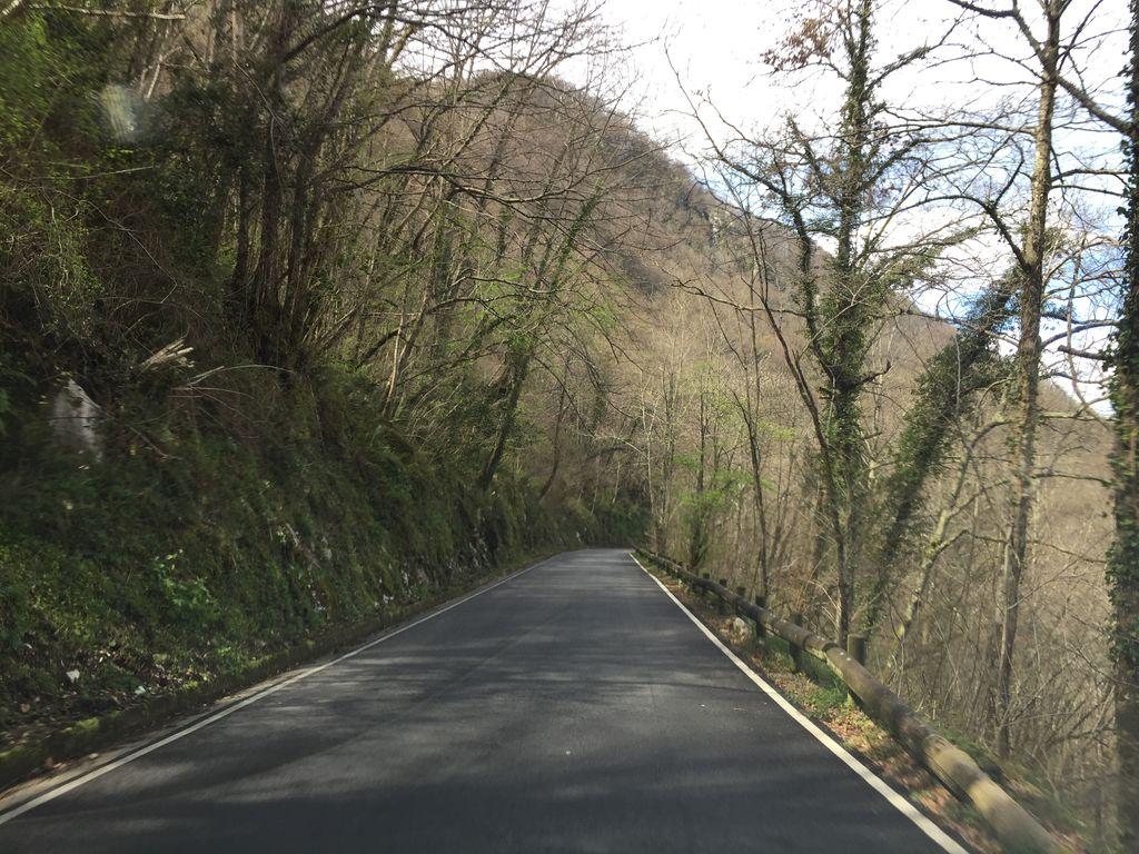 View at km 1.3