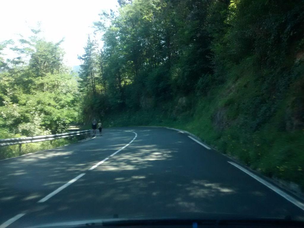 View at km 1.4