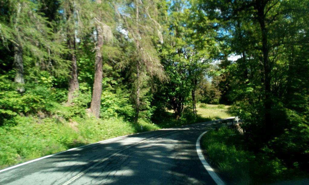 View at km 1.9