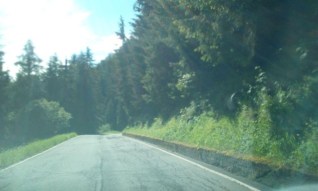View at km 3.1
