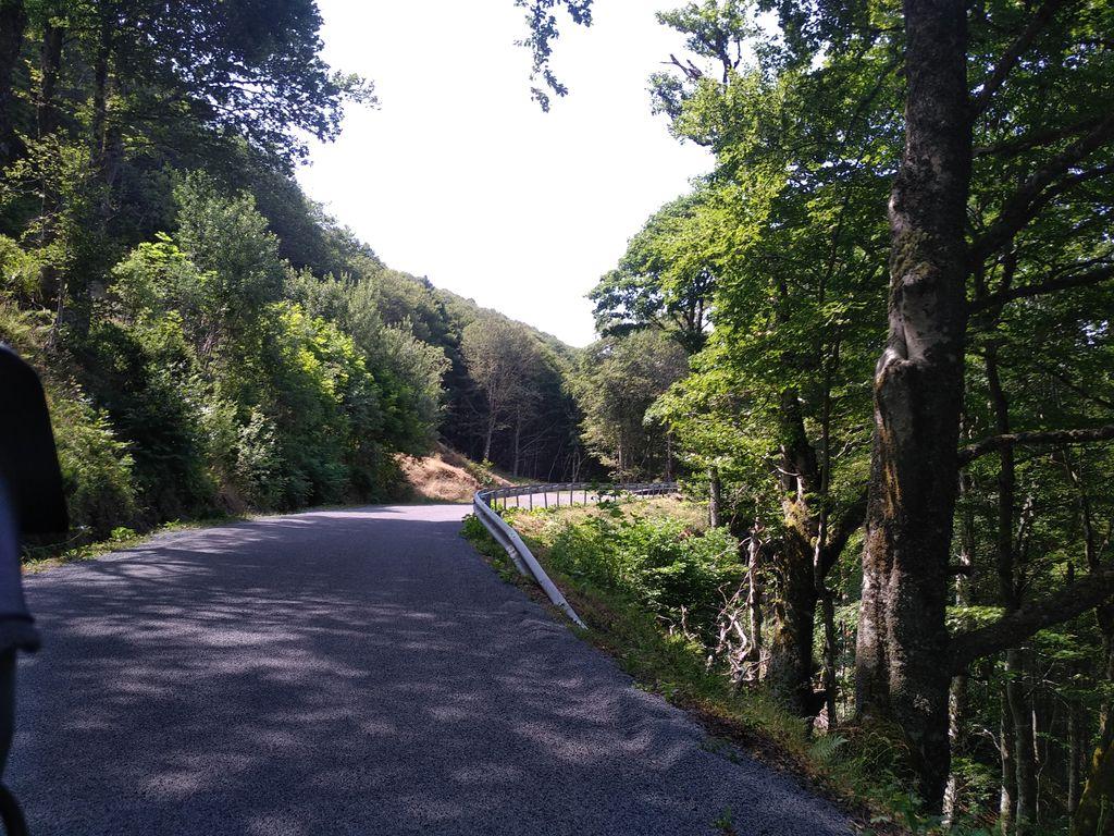View at km 8