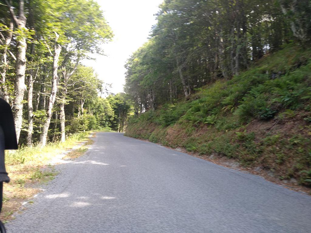 View at km 8.5