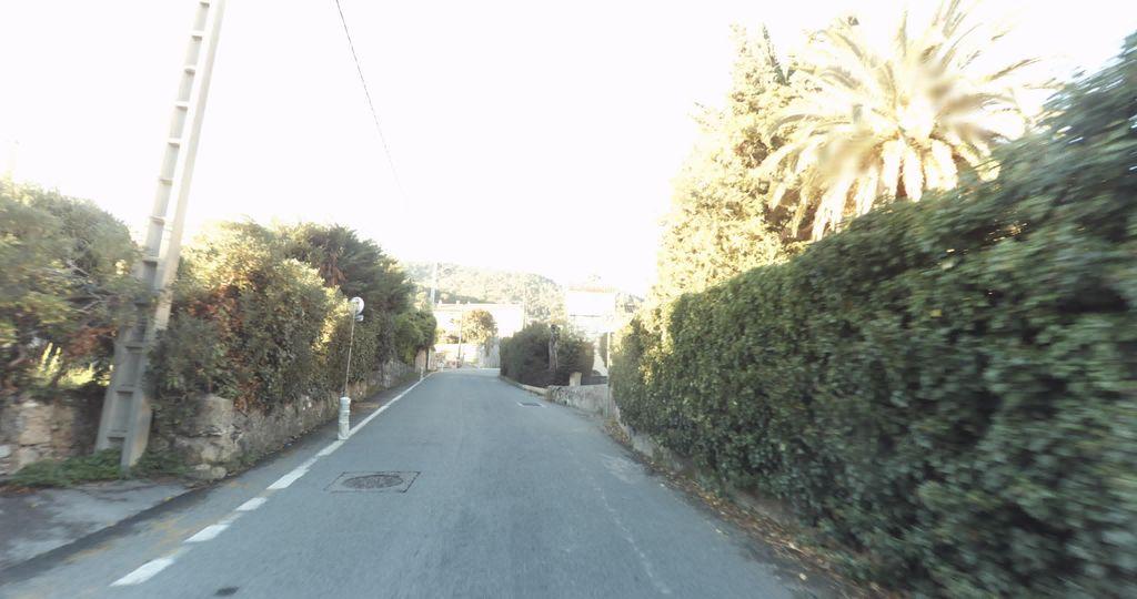 View at km 0.3