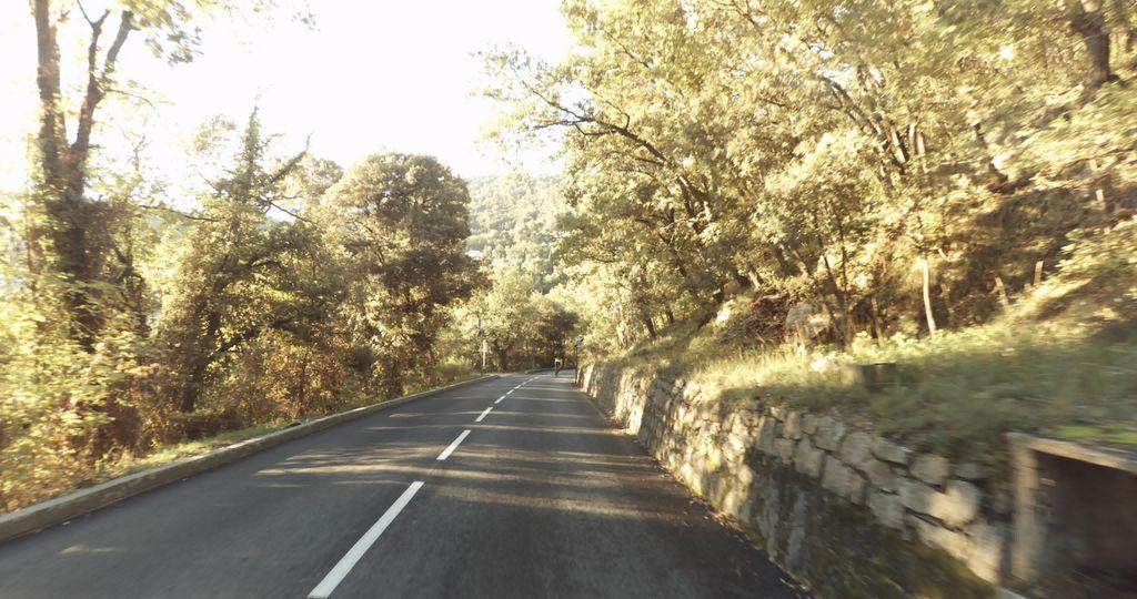 View at km 1.3