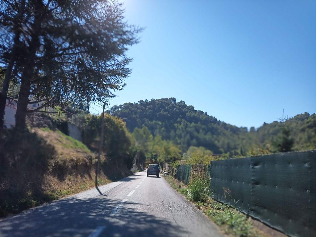 View at km 0.3
