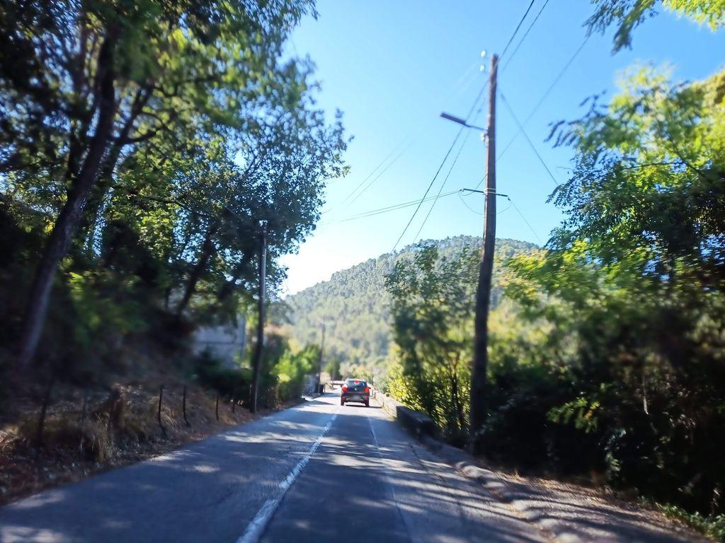 View at km 0.8
