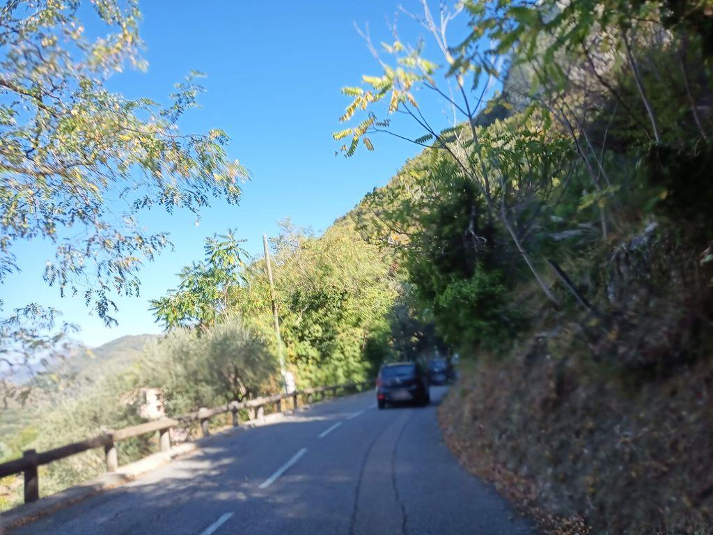 View at km 2.5