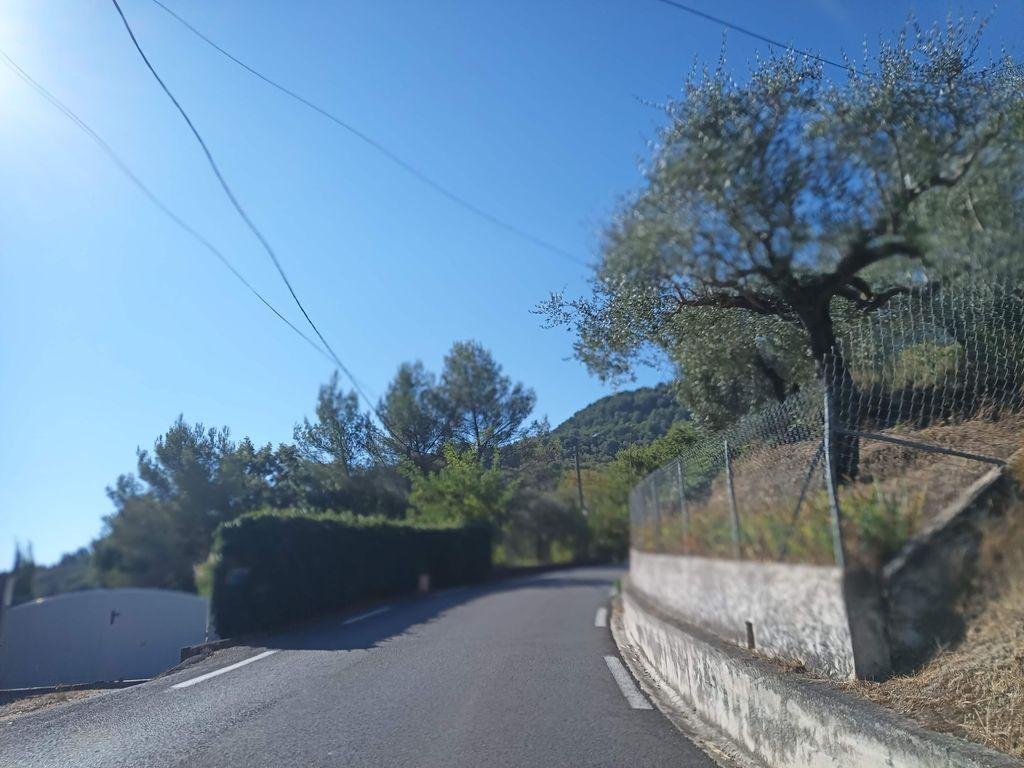 View at km 0.8