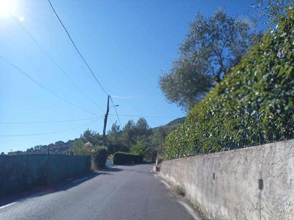 View at km 1.4
