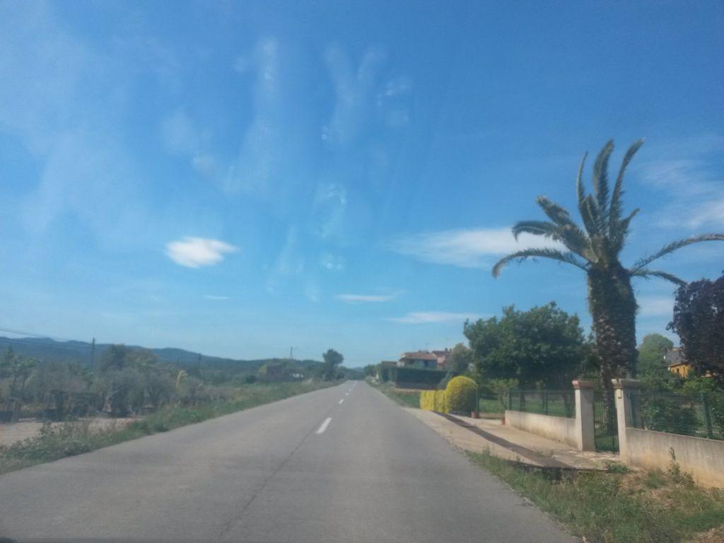 View at km 1.3