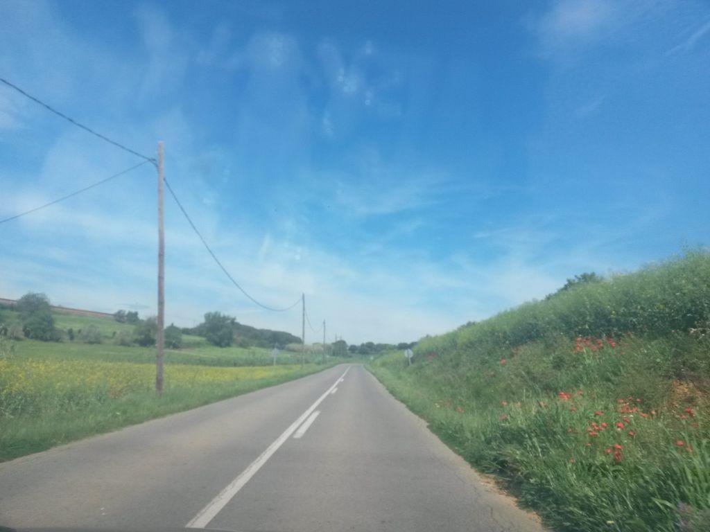 View at km 1.8