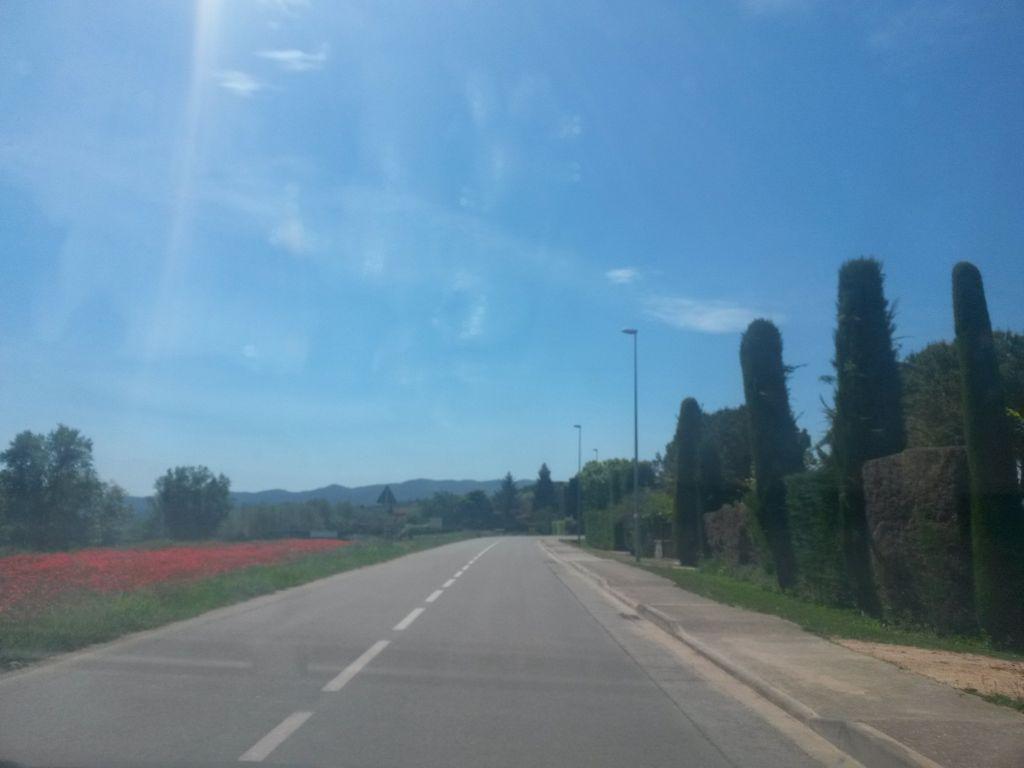 View at km 4.4
