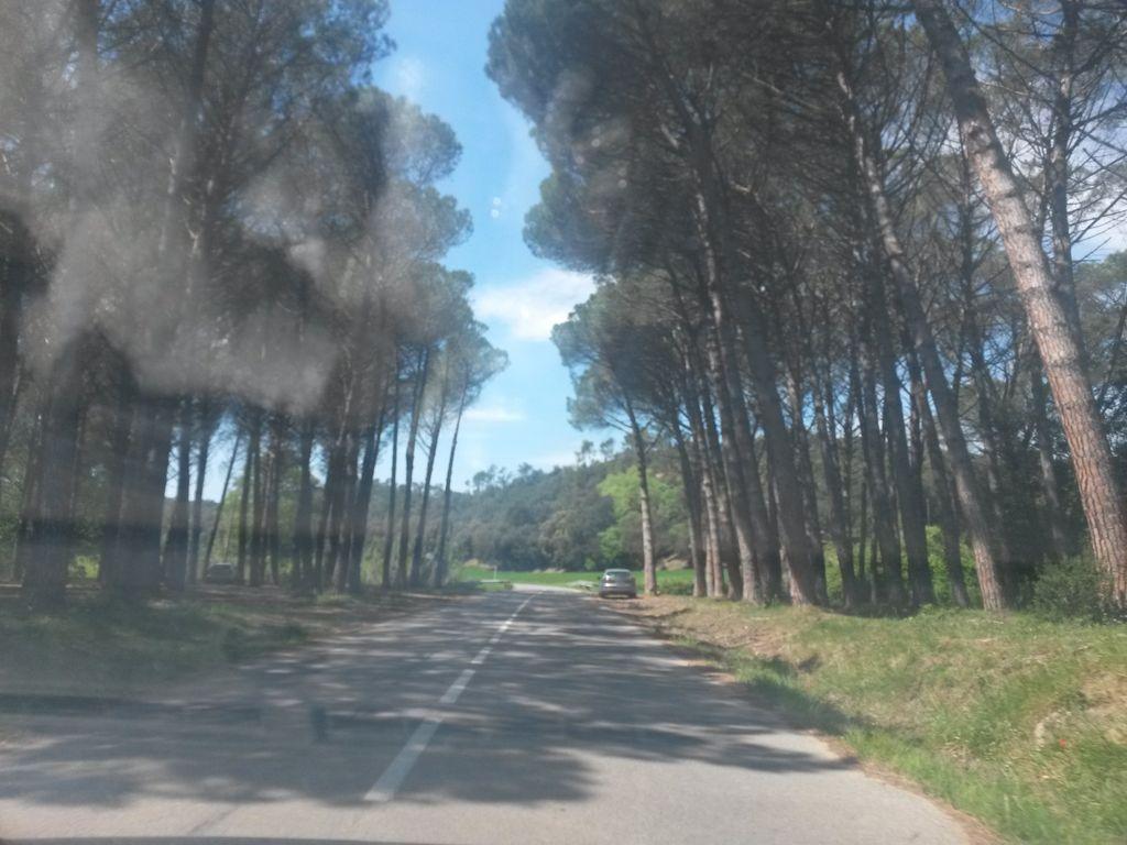 View at km 7