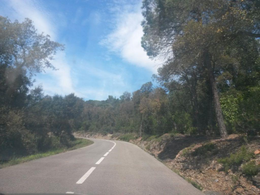 View at km 11.1