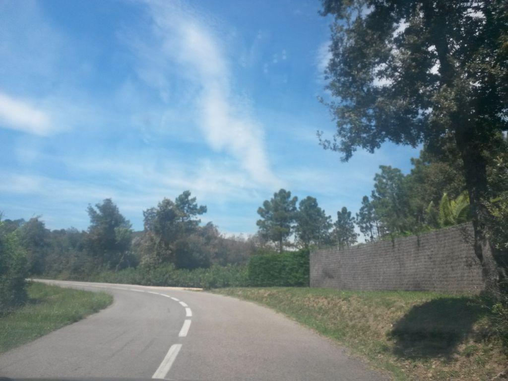 View at km 11.6