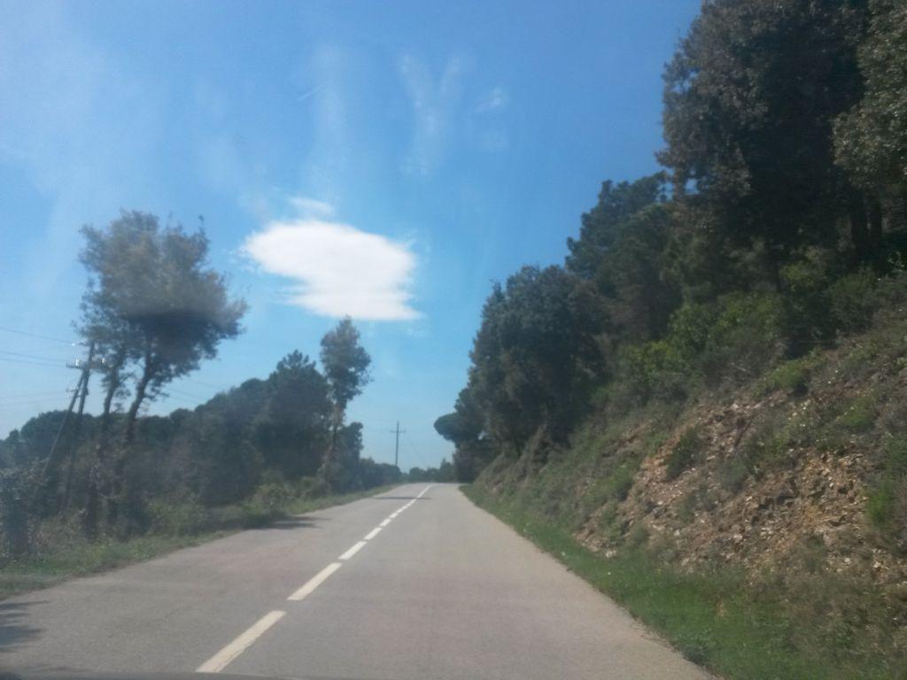 View at km 16