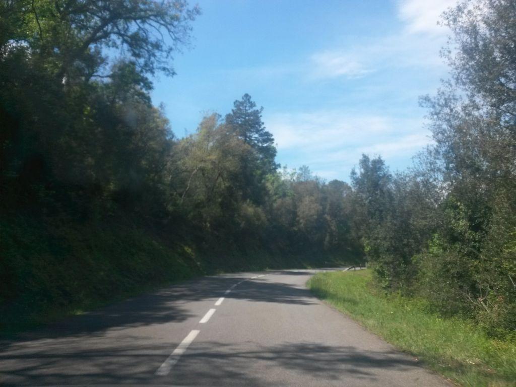 View at km 3