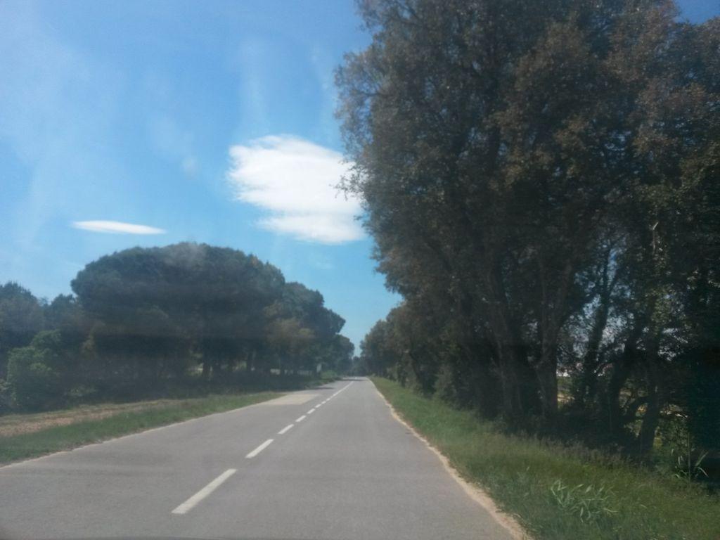 View at km 4