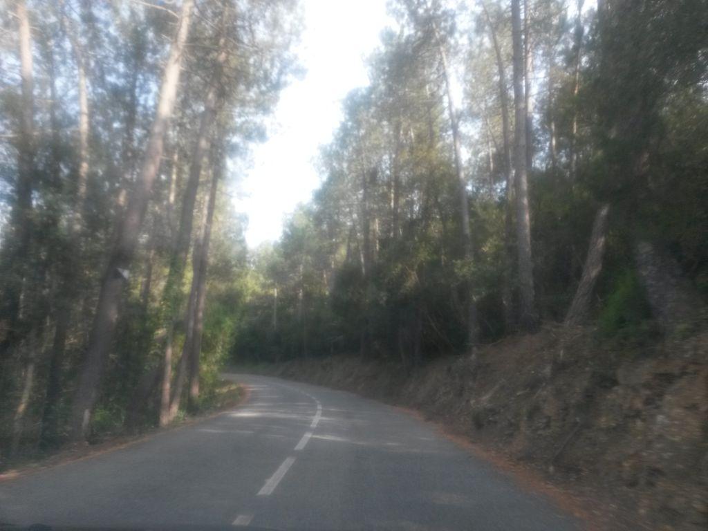 View at km 7.8