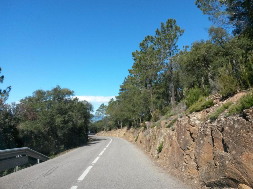 View at km 9.9