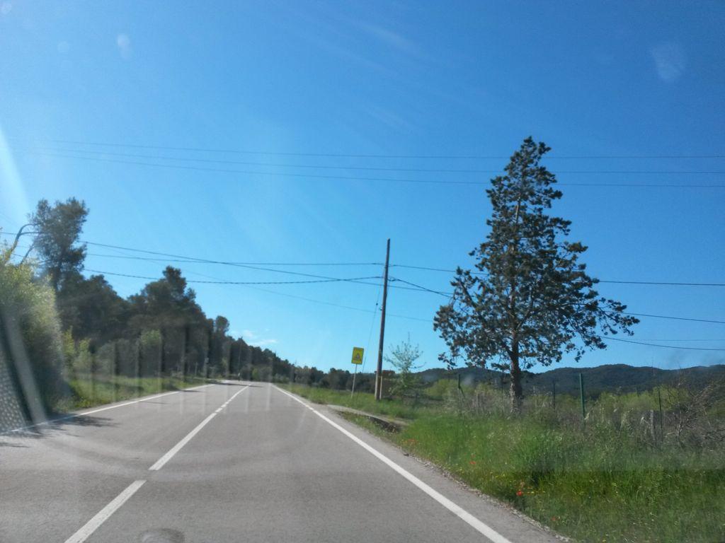View at km 0.8